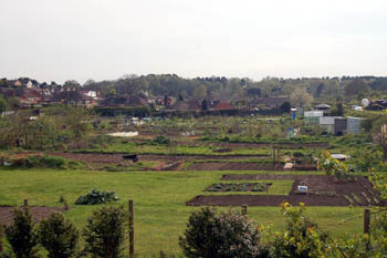 Heath and Reach allotments from Birds Hill April 2008